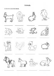 English worksheet: Animals 