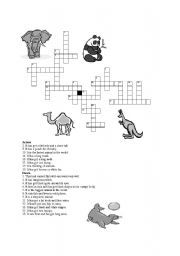 animal crossword