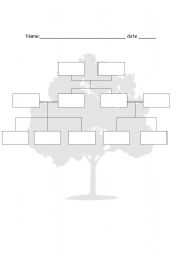 English Worksheet: Family tree