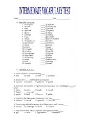 vocab test