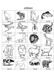 English Worksheet: animals (vocabulary)