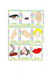 English Worksheet: My body