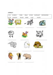 English worksheet: ANIMALS