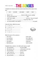 English Worksheet: the senses