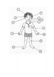 English worksheet: Body Parts