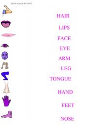 BODY PARTS