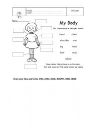 English Worksheet: my body