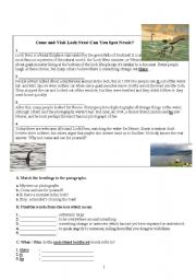 English Worksheet: READING