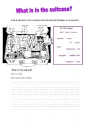 English Worksheet: There is / There are exercise