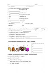 English Worksheet: VERB NEED