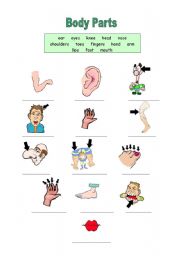 English Worksheet: Body Parts