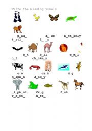 English Worksheet: Animals 