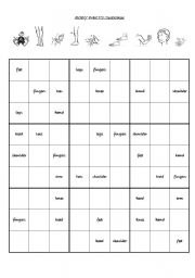 English Worksheet: body parts on sudoku