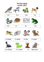 English worksheet: animals