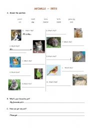 English worksheet: PETS