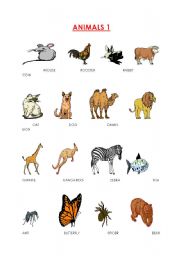 English worksheet: ANIMALS WORKSHEET