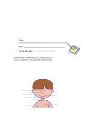 English worksheet: body