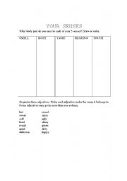 English worksheet: Your Senses