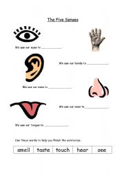 English Worksheet: five senses