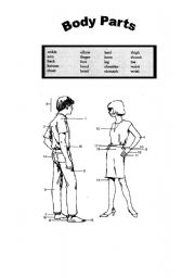 English Worksheet: Body Parts