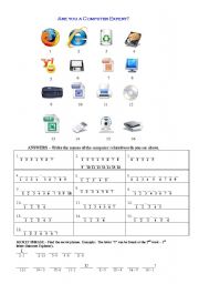 English Worksheet: Are you a computer expert?