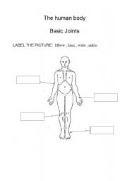 English Worksheet: Label the picture- Joints