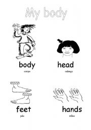 English worksheet: My body