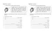 English Worksheet: Simple past