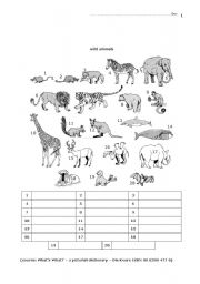 04 Elementary Animals