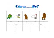 English Worksheet: Can a _____fly?