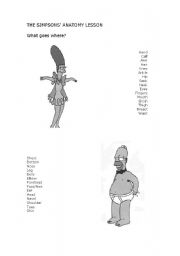 English Worksheet: The Simpsons Anatomy Lesson