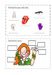 English Worksheet: five senses