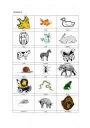 English worksheet: Animals