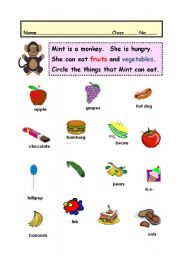 English worksheet: animals