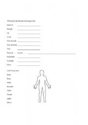 English Worksheet: Body parts and ´movement´ vocab