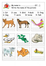 English Worksheet: write the name of the animal