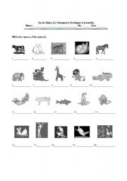 English worksheet: Animals