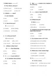 English Worksheet: quiz for beginners