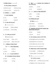 English worksheet: quiz for beginners