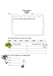 English Worksheet: animals and plants