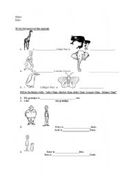 English worksheet: Comparatives