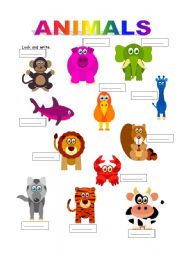 English Worksheet: animals