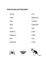 English Worksheet: Match Animals and Their Babies
