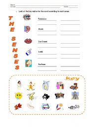 English Worksheet: FIVE SENSES