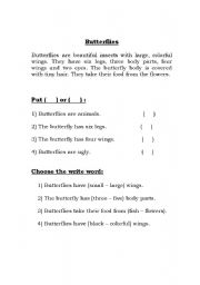 English Worksheet: Butterflies