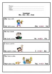 English Worksheet: His Her My Your
