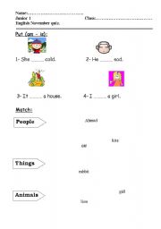 English worksheet: test