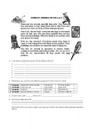 English Worksheet: DOMESTIC ANIMALS