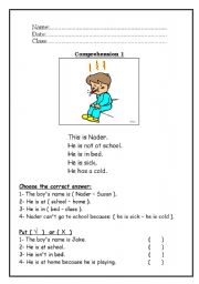 English Worksheet: Reading Comprehension