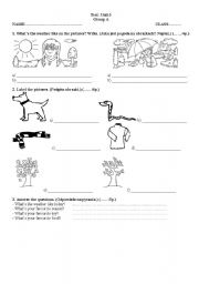 English worksheet: English test